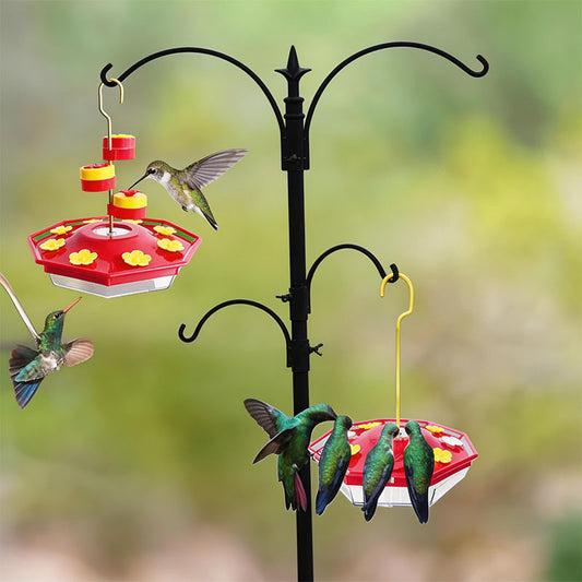 Sherum Sweety Hummingbird Feeder