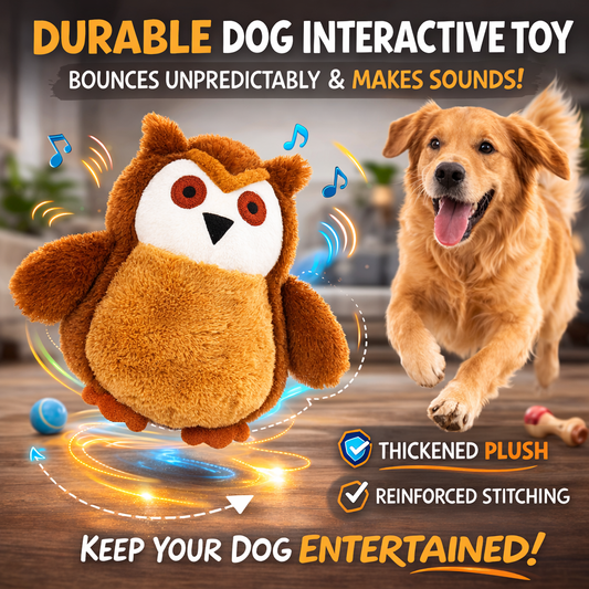 Petlori™ BounceBuddy