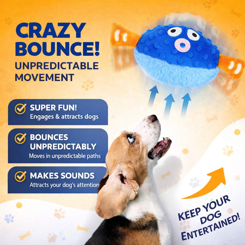 Petlori™ BounceBuddy